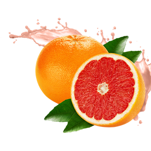 Grapefruit PNG-15250